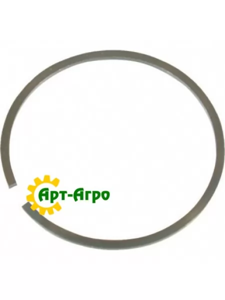 5171953 Retaining ring (without packaging) CNH