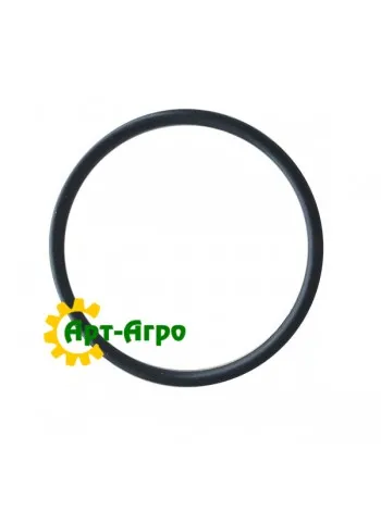 52419 Кільце (без пакування) CNH