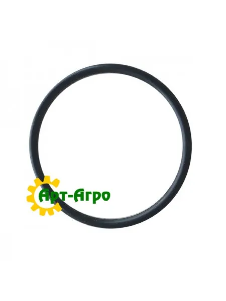 52419 Ring (unpackaged) CNH