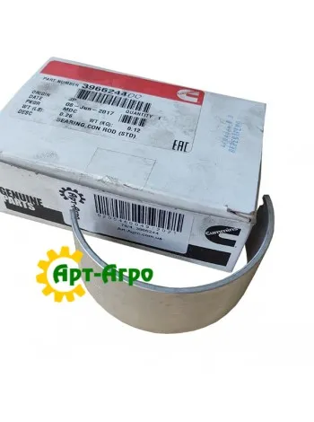 3966244 Connecting rod bearing Cummins