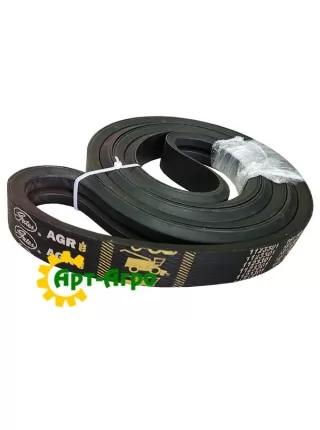 1123301 Gates multi-ribbed belt