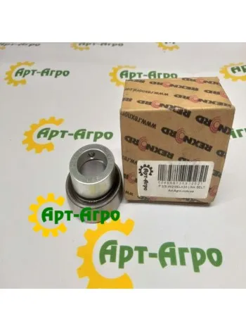 RAE 20 KRRB Кіт Підшипник