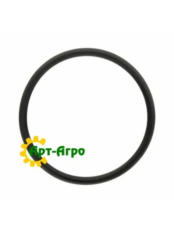 R519989 Кільце ущільнювача John Deere