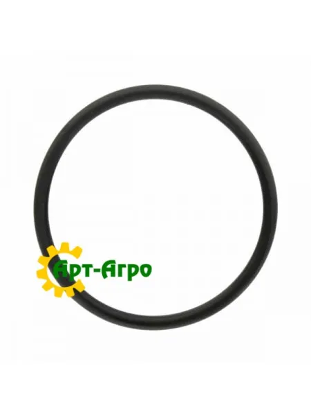 R519989 Кільце ущільнювача John Deere