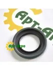 614410R91 CNH oil seal