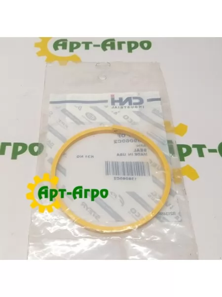 139060C2 Кільце стопорне CNH