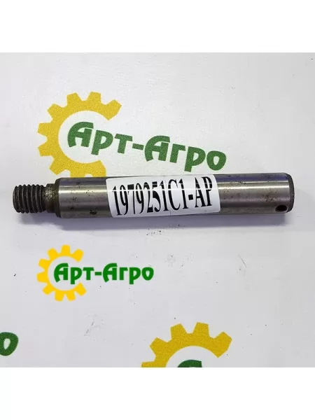 1979251C1 Палець центральний приводу решіт CNH (Agri Parts)