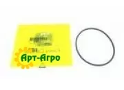 R76358 Кольцо уплотнительное John Deere