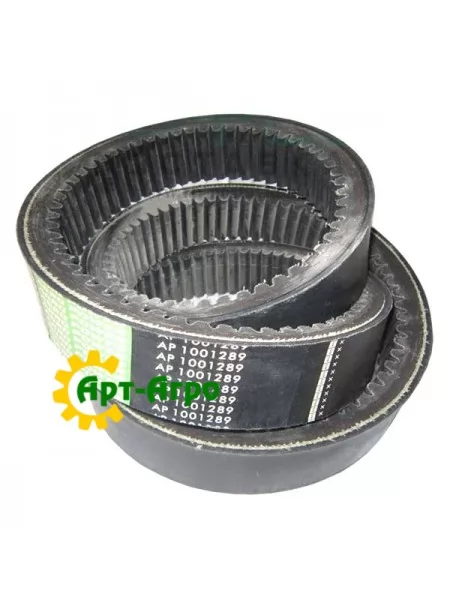 AP1001289 Ремінь варіатора Optibelt