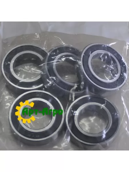 51160054 Підшипник однорядний кульковий 6005-2RS Matermacc