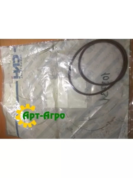 17293681 Кольцо резиновое CNH