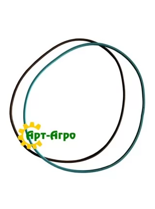 5172302 Кільце ущільнювальне CNH