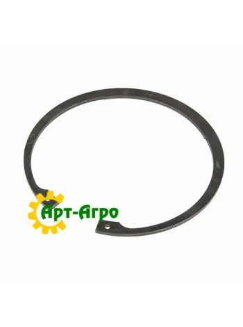 0002181950 Стопорне кільце CLAAS (Original)