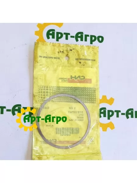 378157A1 Gasket CNH