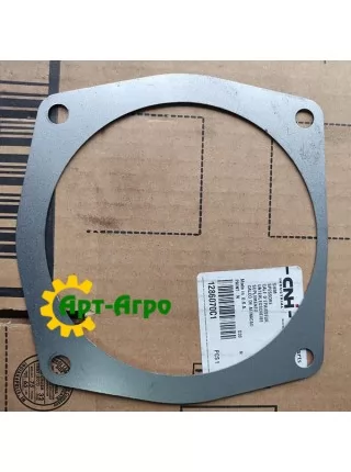 1286070C1 Прокладка CNH