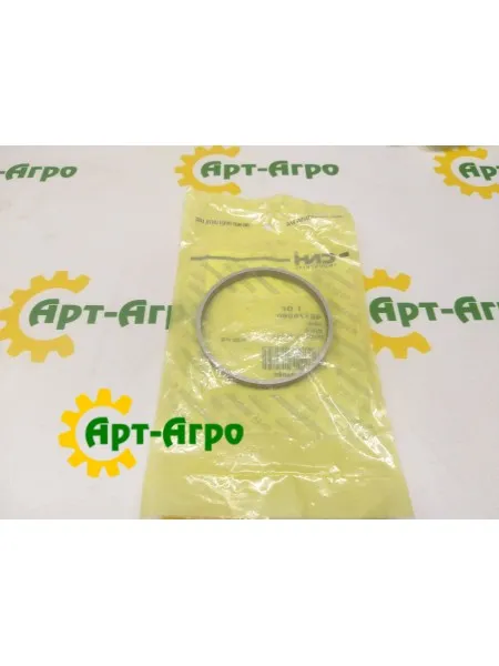 48176060 O-ring CNH