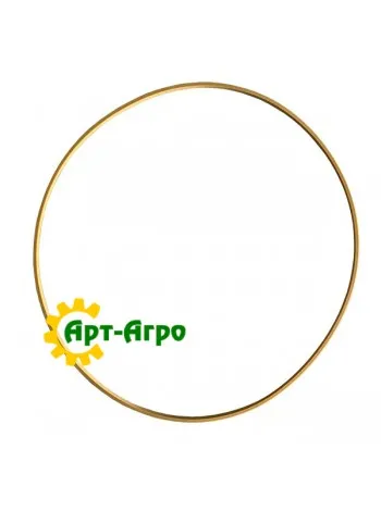 47909777 Кільце CNH