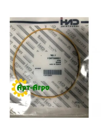 1286079C1 Кільце ущільнювальне CNH