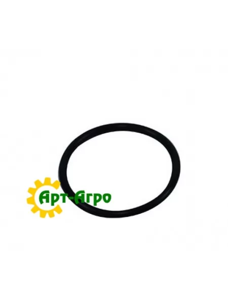 9824050 Кільце ущільнювача CNH
