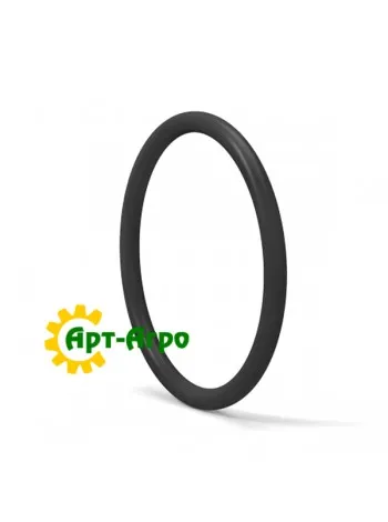 220025 Кільце ущільнювача, 24,3 мм ID x 28,9 ммx 2 мм CNH