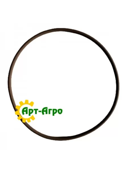 14466381 Кільце ущільн. насоса водяного T8.390/CX8080/6090 (к-кт 2 шт) CNH