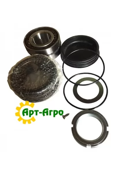 R18125002 Ремкомплект маточини (UFO TZAR C) Gaspardo R18125002 Ремкомплект маточини (UFO TZAR C) Gaspardo