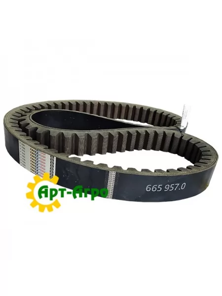 665957.0 Ремінь варіатора 57х30-2310La TAGEX