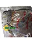 0007543152 CLAAS roller chain