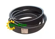 87545653 Четырёхручейный ремень CNH