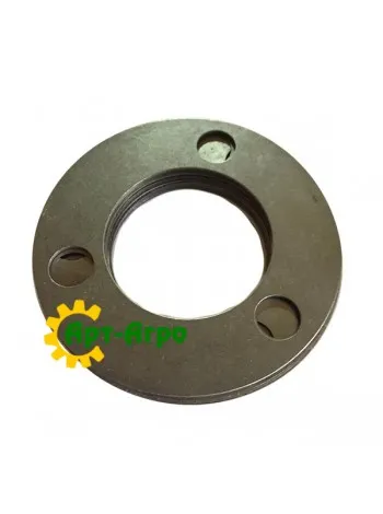 313557A1 CNH Комплект шайб шкворня