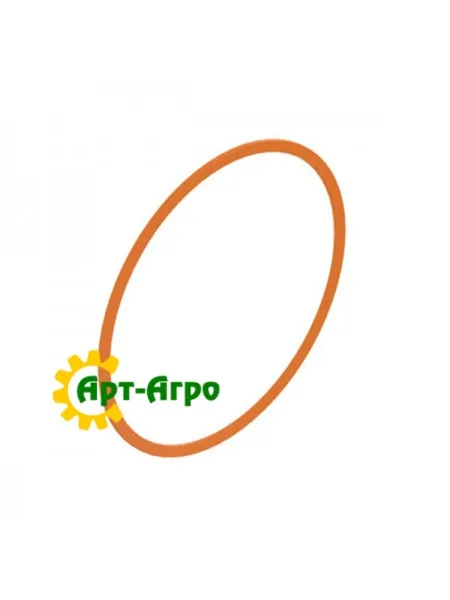 R79001 Кольцо защитное гидроцилиндра John Deere