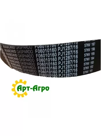 F06010160 Ремінь многоручейний Gaspardo