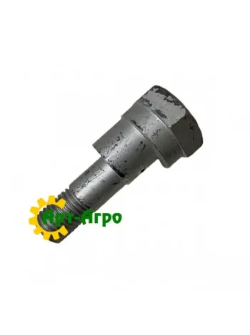 30110072 Bolt-eccentric М20х95-D45/31 Zn Lemken
