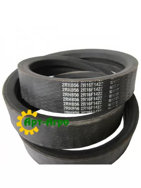 2RHB56 Двострумовий ремінь Carlisle