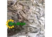 A2050 Łańcuch L=3,05 m RENOLD SD