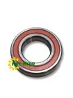 0002378320 CLAAS - 6006 LLU NTN Single row ball bearing
