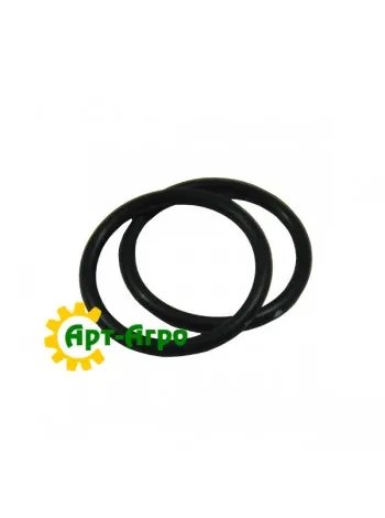 86529541CNH Кольцо уплотнительное (238-6219) CASE IH