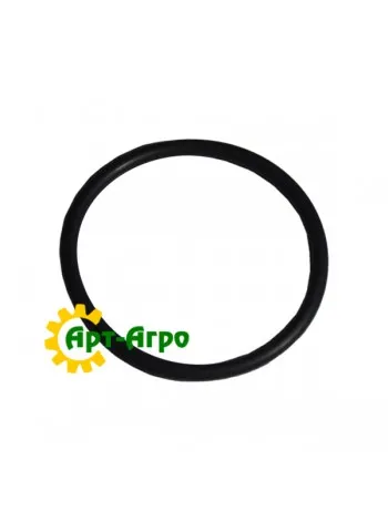 87338651 O-ring CNH