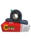 UCP 205 FBJ Bearing