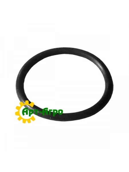 041196 Шайба ущільнювальна Geringhoff 041196 Шайба ущільнювальна Geringhoff