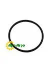 R101042 Кільце ущільнювача John Deere