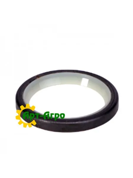 700738365 Сальник Massey Ferguson (Agco Parts)