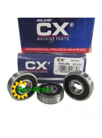 6000 2RS CX Bearing