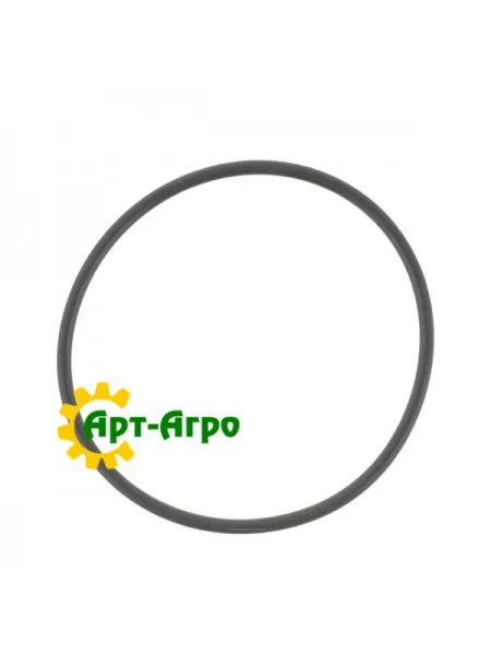 001.05.1620 Кільце ущільнювальне Dana Spicer