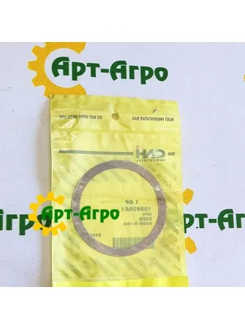 199929A1 Gasket CNH