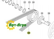0667551.2 Drive belt for harvester K-T-2pcs Claas LEXION (Original)