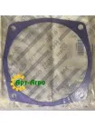 120949C1 Gasket 0.30mm CNH