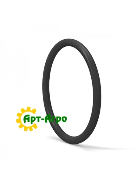 220025 Кільце ущільнювача, 24,3 мм ID x 28,9 ммx 2 мм CNH