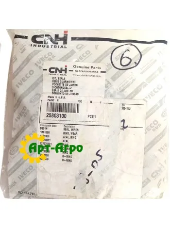 25803100 Комплект ущільнень гідроциліндра CNH