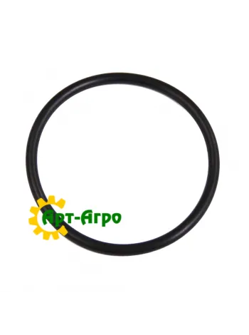 Z44829 Кільце ущільнювальне 58х4 John Deere